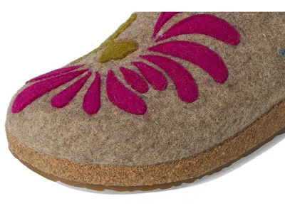 Haflinger Blooming In Brown