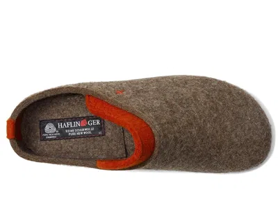 Haflinger Speed In Brown