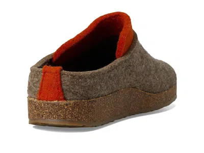 Haflinger Speed In Brown