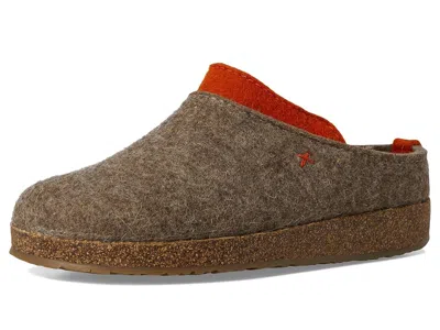 Haflinger Speed In Brown