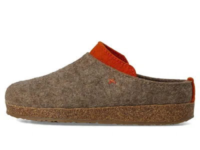 Haflinger Speed In Brown