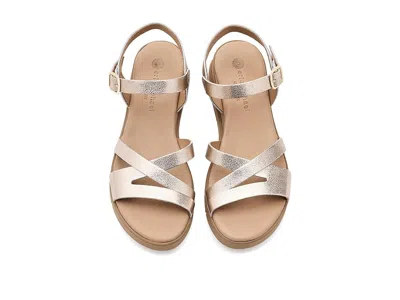 Eric Michael Nicola In Metallic
