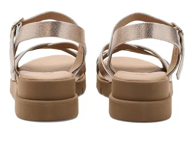 Eric Michael Nicola In Metallic