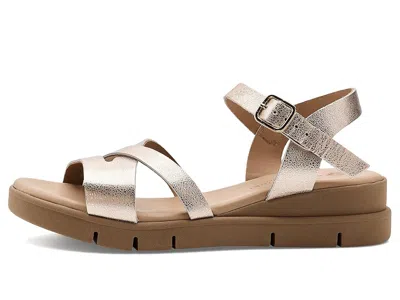 Eric Michael Nicola In Metallic