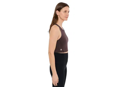 Smartwool Active Crop Bra In Brown