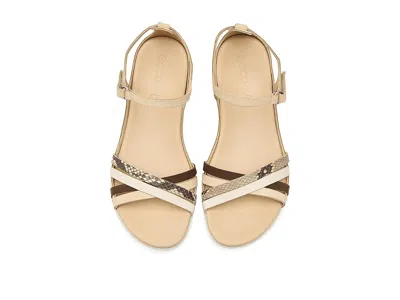 Ecco Flash Leather Ankle Strap Sandals In Multi