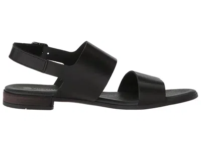 Eric Michael Chandler In Black