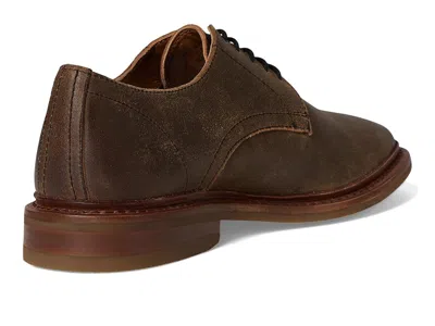 Frye Paul Oxfords In Brown