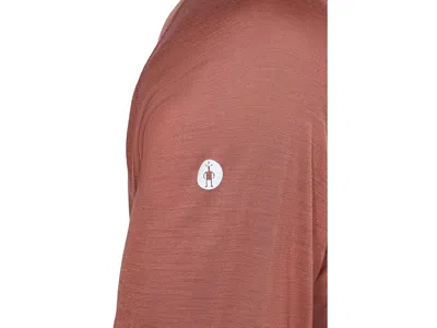 Smartwool Active Ultralite Long Sleeve In Multi