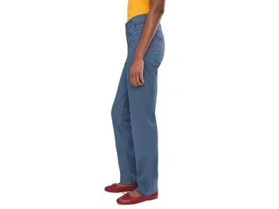 Toad And Co Earthworks Slim Pants In Blue