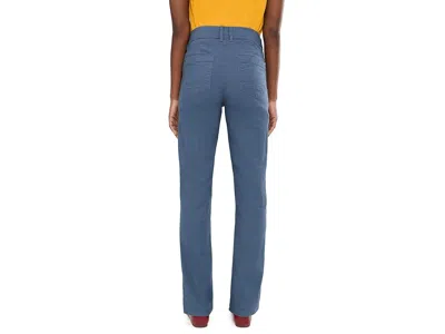 Toad And Co Earthworks Slim Pants In Blue