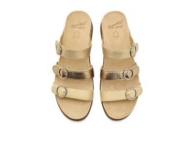 Dansko Campbell In Multi