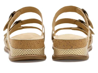 Dansko Campbell In Multi