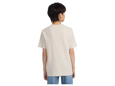 Abercrombie Boys Essential T-shirt In Neutral