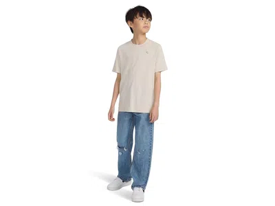 Abercrombie Boys Essential T-shirt In Neutral