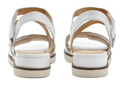 David Tate Triple In White