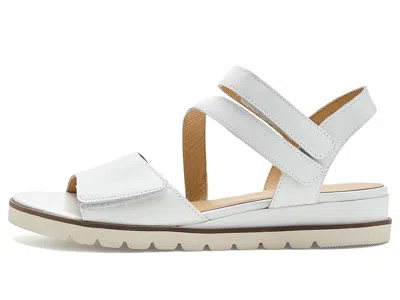 David Tate Triple In White