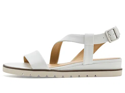 David Tate Islander In White