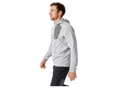 Arc'teryx Delta Pullover Hoody In Gray