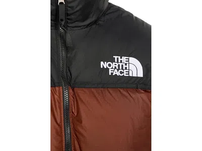 The North Face Brown Color Block High Neck Jacket