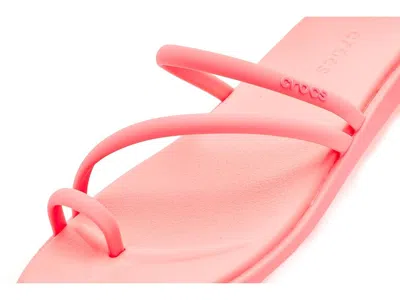 Crocs Miami Toe Loop Sandal In Pink