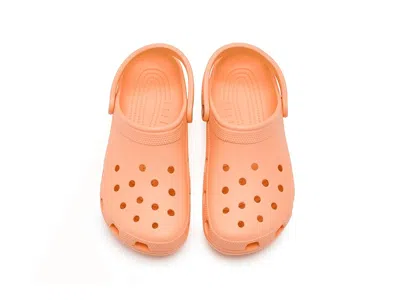 Crocs Classic Clog In Orange