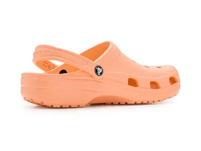 Crocs Classic Clog In Orange