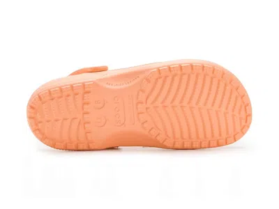 Crocs Classic Clog In Orange