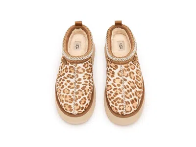 Ugg Tazz Plains Slippers Felicity Leopard Jasmine In Multi