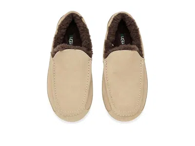 Ugg Ascot In Brown