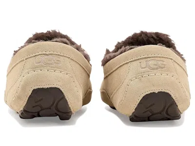 Ugg Ascot In Brown