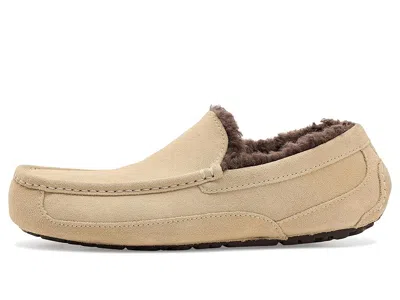 Ugg Ascot In Brown