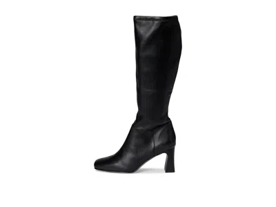Steve Madden Hunny In Black