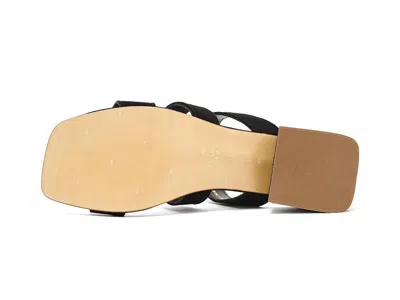 La Canadienne Fifi In Black