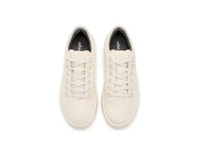 Allbirds Cruiser Canvas In Multi
