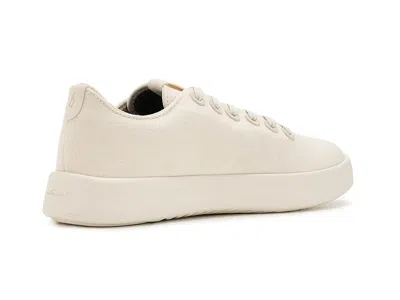 Allbirds Cruiser Canvas In Multi