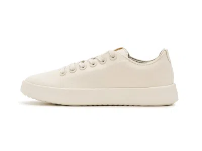 Allbirds Cruiser Canvas In Multi