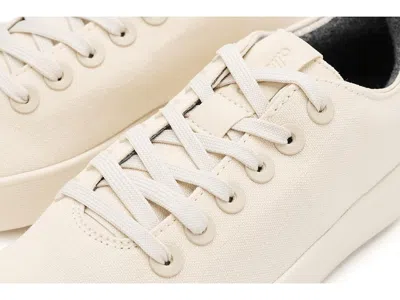 Allbirds Cruiser Canvas In Multi