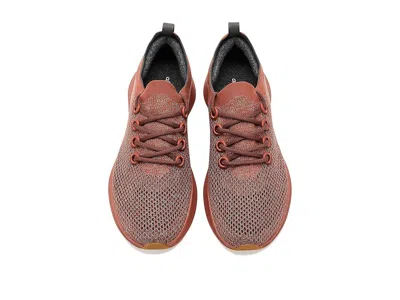 Allbirds Dasher Nz In Brown