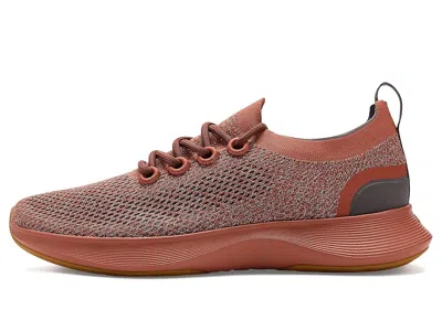 Allbirds Dasher Nz In Brown