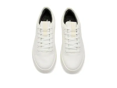 Allbirds Cruiser Canvas In Multi