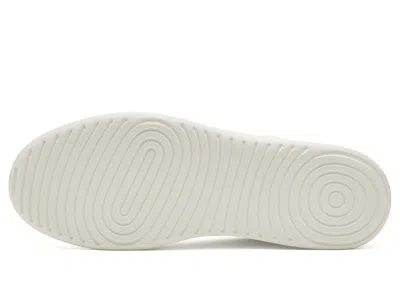 Allbirds Cruiser Canvas In Multi