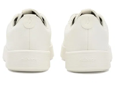 Allbirds Cruiser Canvas In Multi