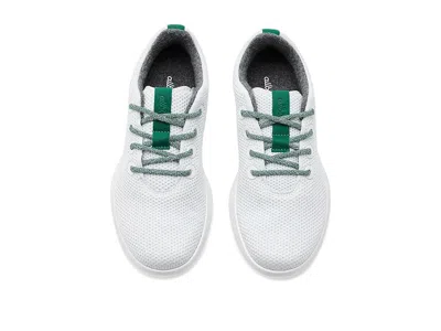 Allbirds Tree Runner Nz In Multi