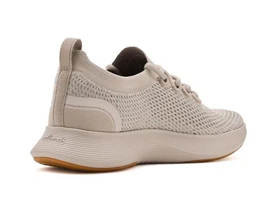 Allbirds Dasher Nz In Neutral