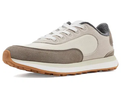 Allbirds Varsity In Multi