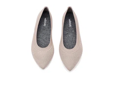 Allbirds Breezer Point In Neutral