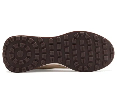 Allbirds Varsity In Multi