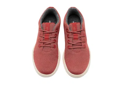 Allbirds Tree Runner Nz In Brown