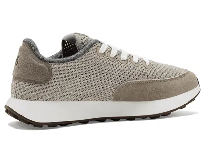 Allbirds Varsity Airy In Brown